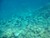 Dive Gallery